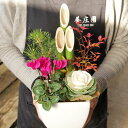 迎春:ミニ門松B(黒松・南天・ハボタン・ガーデンシクラメン)【陶器鉢(四角)・受け皿付】*【竹の色・鉢の色が選べます】【送料無料】