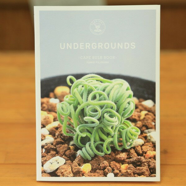 本：UNDER GROUNDS -CAPE BULB BOOK-...:yukei:10014499