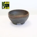 盆栽小鉢:丹山 切足付丸鉢 8cm【現】
