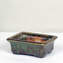 現代小鉢:平安虹泉 縁付長方鉢 12.5cm【現】*資材
