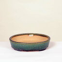 現代小鉢：鴻陽　楕円鉢　18.8cm【現】