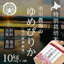 令和元年産【農家直送】市川農場の「ゆめぴりか」10kg【北海...