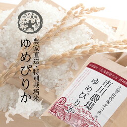 特別栽培米 <strong>ゆめぴりか</strong> 5kg 送料無料 北海道米 農場直送 令和5年産 北海道旭川産 お米 米 直前精米 ギフト