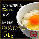 【送料無料】【北海道旭川産】【平成28年度産】市川農場の「ゆめぴりか」5kg