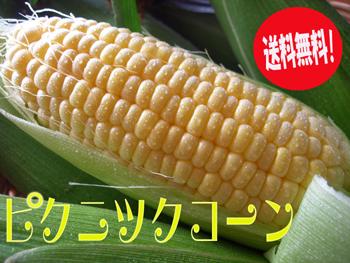 ԥ˥åTVǤҥå!!ԥ奢ۥ磻ȰʾδŤ!!ͽ...
