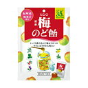 (本州送料無料) カンロ 健康梅のど飴 個包装タイプ 80g (6×2)12入