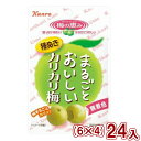 (本州一部送料無料)カンロ 36g まるごとおいしいカリカリ梅 (6×4)24入 。