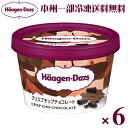 (本州一部冷凍送料無料) ハーゲンダッツ ミニカップ クリスプチップチョコレート 6入(冷凍・アイス)