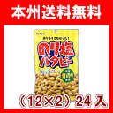 (本州送料無料)稲葉ピーナツ 125g のり塩バタピー(12×2)24入