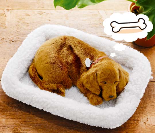 ޤʪ塼Ȥʤͤͤ[̵][ݥ10]10P04oct10