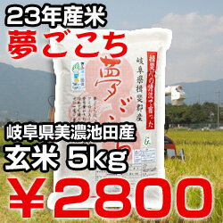 【新米】【送料無料】【減農薬】【夢ごこち】【玄米】【5Kg】【23年産】【美濃池田産：白鳥ファーム】コシヒカリから進化し、清流揖斐川で育ったもっちり美味しいお米！ぎふクリーン農業による減農薬栽培