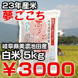 【新米】【送料無料】【減農薬】【夢ごこち】【白米】【5Kg】【23年産】【美濃池田産：白鳥ファーム】