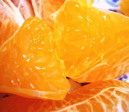 ϥǥݥλľ2ȥ¤ꡪॻͲ̵ʬϥǥݥ3kg