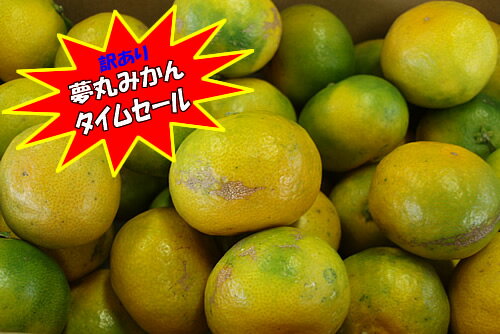 ॻ̵̴ݤߤ5kg2kgץ쥼