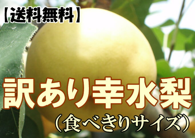 【送料無料】訳あり幸水梨（食べきりサイズ）約2kg10P17Aug12【2sp_120810_green】