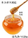 生はちみつ 非加熱 百花蜂蜜120g(ネコポス)送料無料【宇...