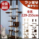 キャットタワー 突っ張り 全面麻紐 爪研ぎ つっぱり猫タワー 全高229-255cm ハンモク 階段 梯子 多頭飼う キャットハウス 猫ベッド 隠れ家 おもちゃ おしゃれ cattower 170704