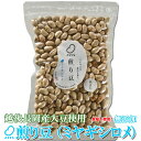 お試しに!煎り豆(ミヤギシロメ) 無添加 150g×3袋