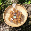 【産地直送】 有機JAS認定生姜-高知県...