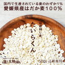 大麦!\送料無料780円/大麦の中でも希少な 愛媛県産はだか麦100%<愛媛県産はだか麦の押し麦(たいらくん)500g>もち麦と同じ「はだか麦」のうるち性麦! ムギ 押麦 平くん 麦飯 国産 麦ご飯 はだかむぎ β-グルカン【RCP】