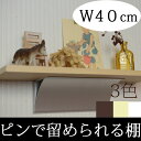 アルミウォールシェルフL【壁/壁掛け/棚/飾り棚/ウォールシェルフ/収納/おしゃれ/アンティーク/ナチュラル/石膏ボード用取り付けピン付き/画鋲より穴が小さい/跡が目立たない/賃貸/取り付け/日本製/白】