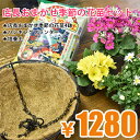 【数量20セット限定】店長おまかせ季節の花苗4鉢&ハンギングプランター&培養土 3点セット
