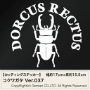 送料無料【コクワガタ Ver.037 カッティングステッカー 2枚組 幅約17cm×高約15.5cm】DORCUS RECTUS ハンドメイド
