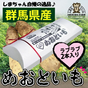 送料無料【島田ファーム産 やまといも めおといもギフトBOX】夫婦芋2本のセット約500g♪ 群馬県産やまと芋 ヤマトイモ ヤマト芋 通販 群馬県 尾島町 大和芋 販売 名産品 産直 野菜 尾島産 1000円ポッキリ 送料無料【GOOP】【nk_fs_0629】お試し期間中♪1000円ポッキリ 送料無料！