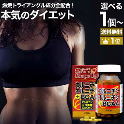 カルニチン・オルニチン＋BCAA 240粒 約30～40日分 送料無料 宅配便 | ダイエット サプリ サプリメント ダイエット食品 <strong>ダイエットサプリメント</strong> 男性 女性 <strong>強力</strong> Lカルニチン αリポ酸 アルファリポ酸 BCAA オルニチン オルニチンサプリ 粒 タブレット