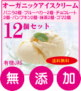 母の日ギフト・オーガニックアイスクリーム送料無料★各種2個・計12個(バニラ2個・ブルーべリー2個・チョコレート2個・パンプキン2個・抹茶2個・ゴマ2個)