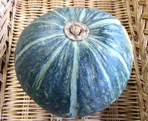 九州野菜 無農薬・無化成肥料かぼちゃ10kg（約8玉）