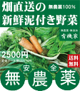 旬の無農薬100%野菜セット2500円(送料無料・火、金曜日...