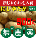 長崎産にしゆたか500g★無農薬・無化成肥料★芽止