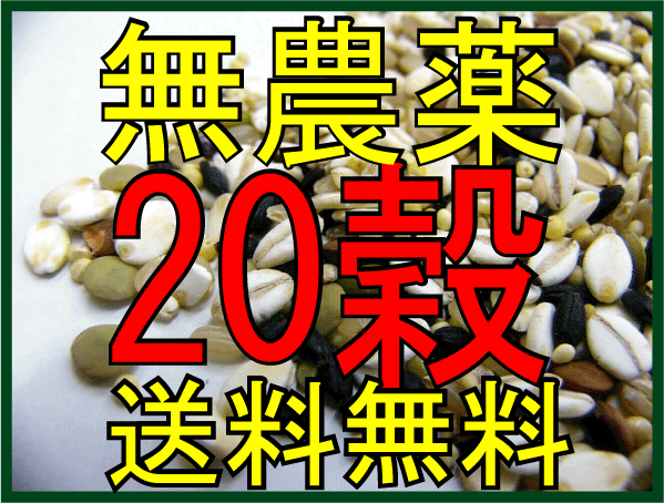 雑穀米●震災前収穫・在庫限り送料無料（メール便）20種すべて無農薬栽培20雑穀米　500g（震災前食品）【smtb-T】雑穀米●今ならポイント10倍