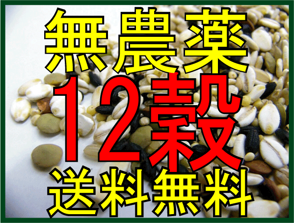 雑穀米●震災前収穫・在庫限り送料無料（メール便）無農薬・無添加　12雑穀米　320g（震災前食品）【smtb-T】雑穀米●翌日発送できます。