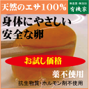 身体にやさしい安全な卵●小林養鶏農園の特鶏卵Lサイズ10個★...