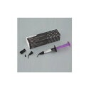 医療機器 G-フィックス レジンペースト2.7g 2ml×1本 GC ジーシー