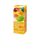 まとめ買い2ケースセット フルーツセレクション100 フルーツセブン 200ml×1ケース(24本入) エルビー