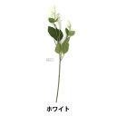 ¤²Ö ¥·¥ë¥¯¥Õ¥é¥ï¡¼ ¡Ø¥Ù¥ë¥Æ¥Ã¥»¥ó ¥Û¥ï¥¤¥È VE-6917¡Ù