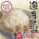 遊月亭 遊月米10kg(5kg×2袋) 兵庫県 新温泉町産 新米 【期間限定】【数量限定】【予約販売】【お届け日指定不可】