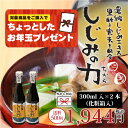 遊月亭 しじみの力【濃縮エキス300ml入を2本】お試しセット しじみ汁 シジミ しじみ貝 蜆 貝 調味料 調味料【RCP】 敬老の日
