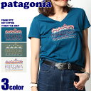 【メール便可】 PATAGONIA パタゴニア カ