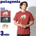 【メール便可】 PATAGONIA パタゴニア カ