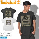 【メール便可】 TIMBERLAND ティンバーランド 半袖Tシャツ 全2色カモ リニアツリー 半袖Tシャツ CAMO LINEAR TREE S/S TEEA1MBM 1 100 メンズ