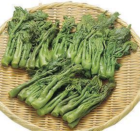[常温]【業務用】天ぷらや和え物に向いている春の食材【春限定商品】たらの芽水煮【山一】「和食、おかず、おつまみ、春、旬の食材、業務用」