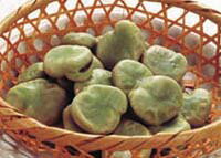 冷凍野菜　そら豆(2L)500g「空豆　そらまめ 冷凍食品 業務用」