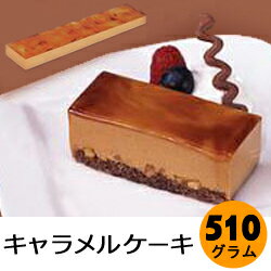 フリーカットケーキ キャラメル 510g【味の素】「スイーツ おやつ ご褒美 冷凍食品 業務用」