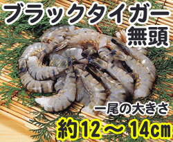 大盛 ブラックタイガーエビ　13/15 1.8kg【輸入】「ブラックタイガー海老　えび　冷凍食品　業務用」