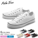 PALM TREE パームツリー スニーカー キャンバス スニーカー ローカット ホワイト 他 全6色PALM TREE PT-304 CVS SNEAKER LOW靴 スニーカー 軽量 キャンバスメンズ レディース 黒白赤