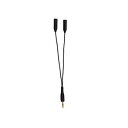 (まとめ)YAZAWA 2分配オーディオコード黒 TK01BK【×10セット】